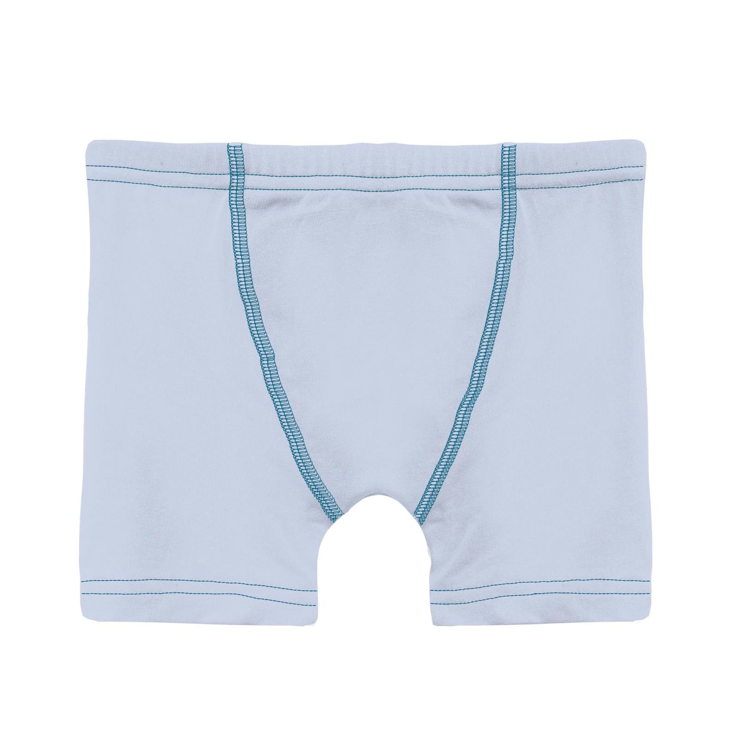 Boy's Boxer Brief in Dew with Seaport
