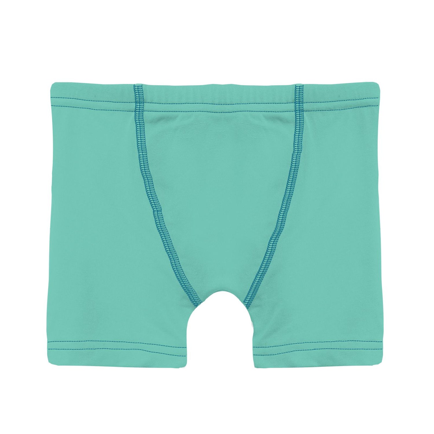 Boy's Boxer Brief in Glass with Seaport